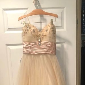 Prom/Wedding Dress